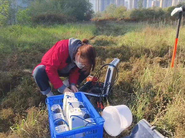 工程草莓视频在线观看黄入口